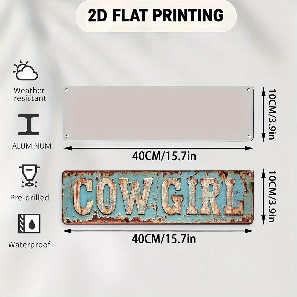 2D Metal Cowgirl Wall Art - Vi - Vintage Collectible Plates recensie en prijs