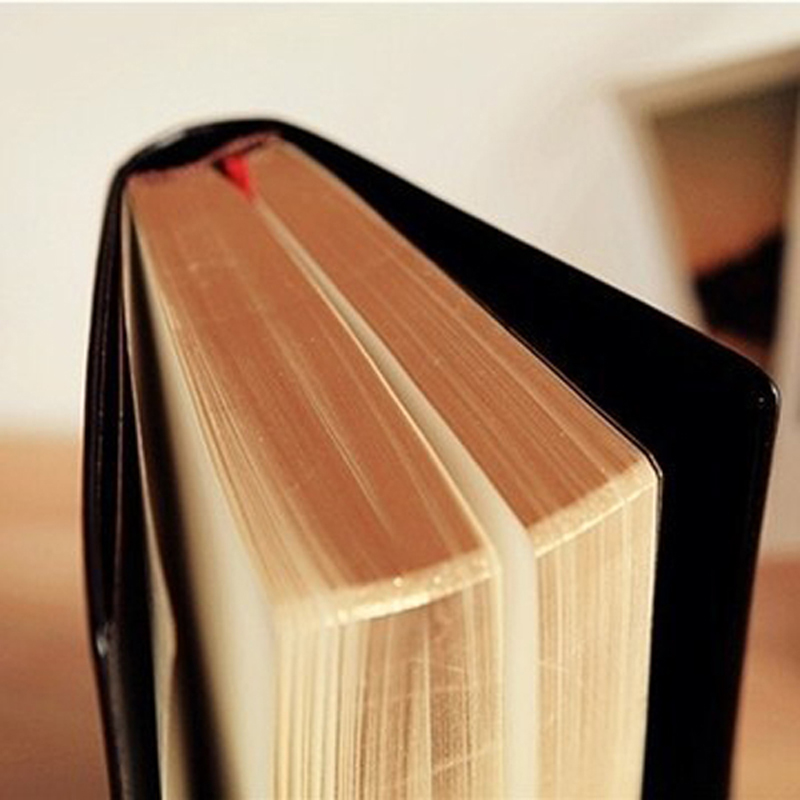 Vintage dikke lederen bijbel n - Vintage Collectible Books recensie en prijs